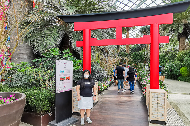 Gardens by the Bay - Sakura 2022 - Torii Gate