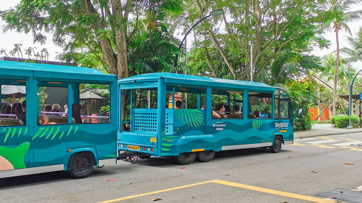 Explained: How to Get Around Sentosa Easily