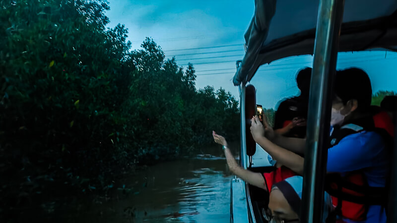 Kuala Selangor Firefly Watching