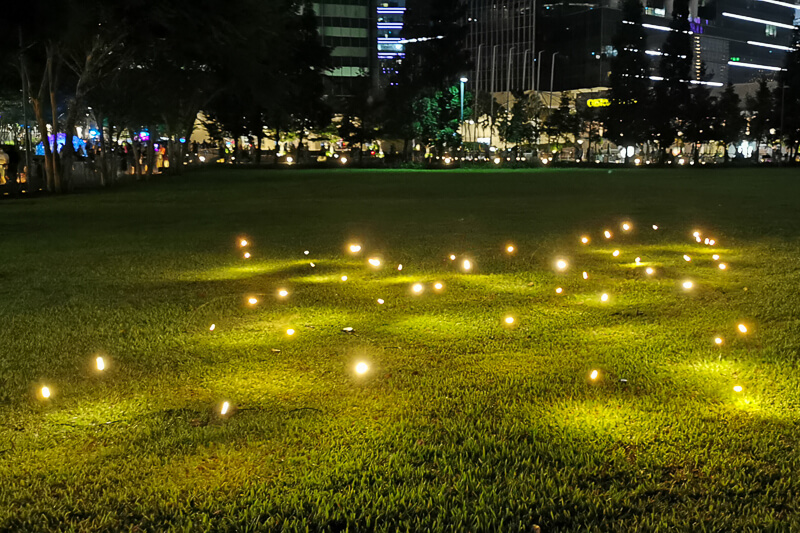 i Light Singapore 2022 - Firefly Field