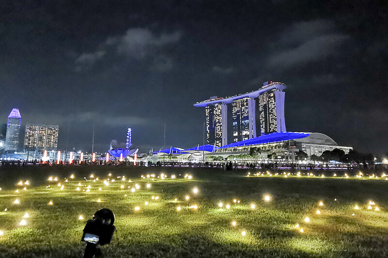 i Light Singapore 2022 - Firefly Field