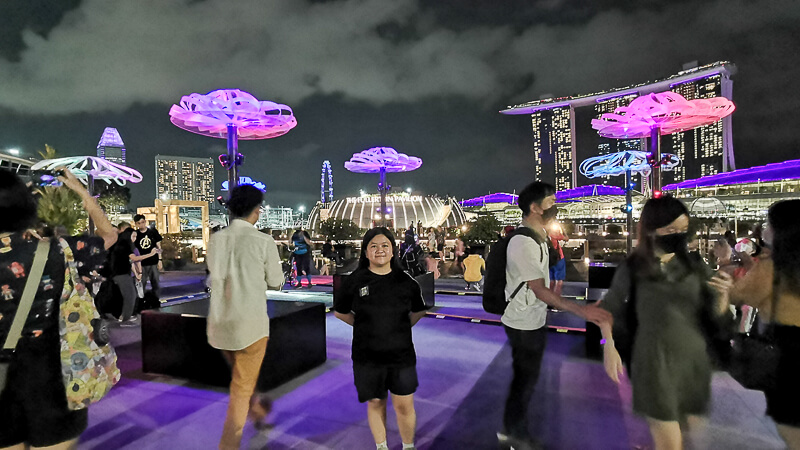 i Light Singapore 2022 - Florescentia