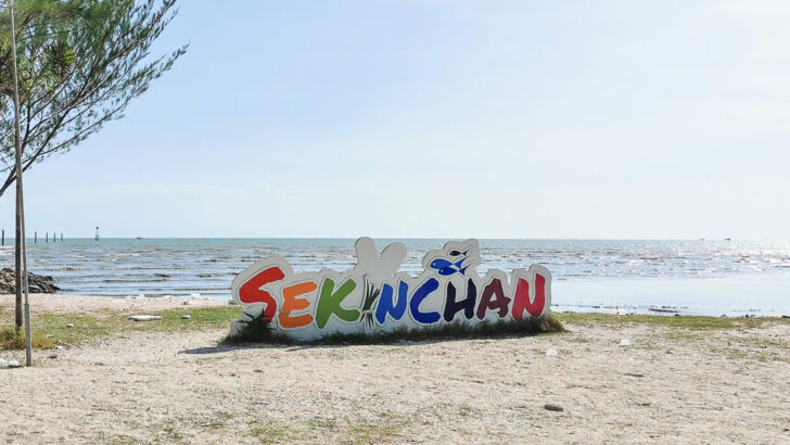 Day Trip to Sekinchan Kuala Selangor Malaysia
