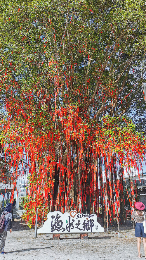 Day Trip to Sekinchan Kuala Selangor Malaysia - Sekinchan Wishing Tree