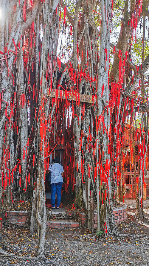 Day Trip to Sekinchan Kuala Selangor Malaysia - Sekinchan Wishing Tree