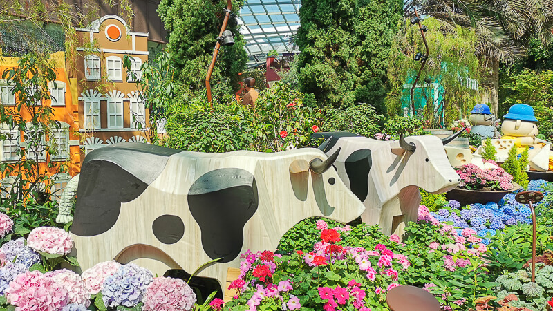 Gardens by the Bay - Flower Dome - Hydrangea 2022 - Dutch Cows and Dairy