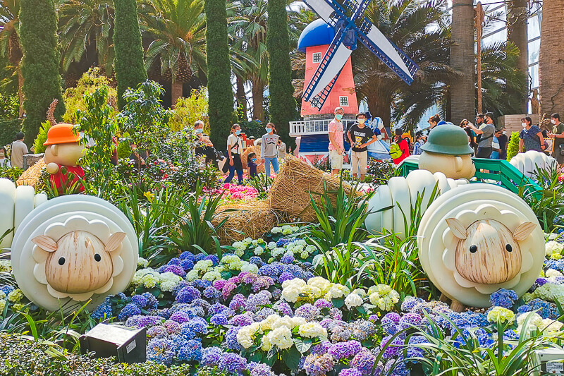 Gardens by the Bay - Flower Dome - Hydrangea 2022 - Dutch Cows and Dairy