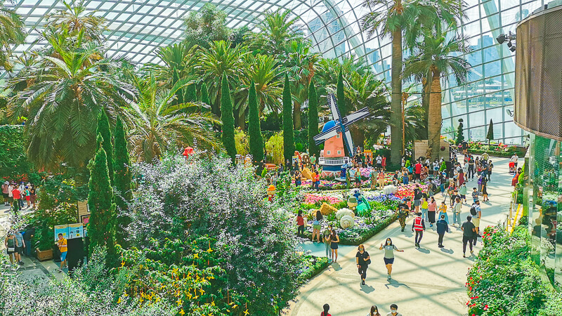 Gardens by the Bay - Flower Dome - Hydrangea 2022 - Flower Field