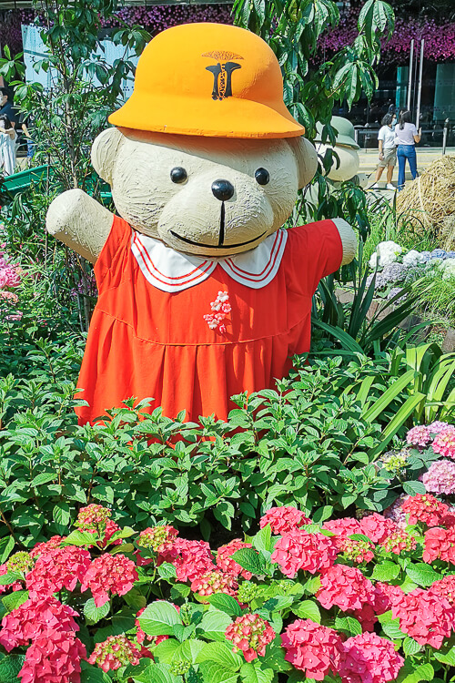 Gardens by the Bay - Flower Dome - Hydrangea 2022 - Flower Field