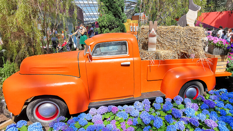 Gardens by the Bay - Flower Dome - Hydrangea 2022 - Poffertjes and Townhouses