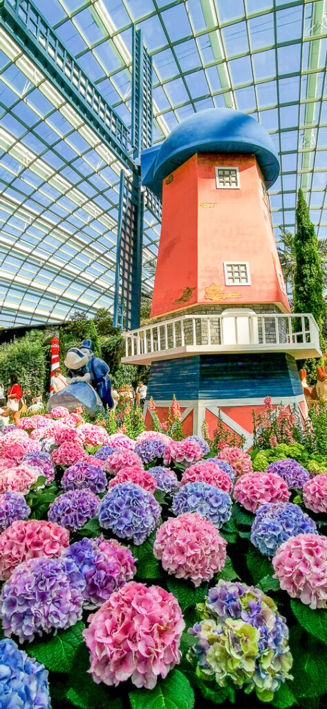 Gardens by the Bay - Flower Dome - Hydrangea 2022 - Windmills and Canals