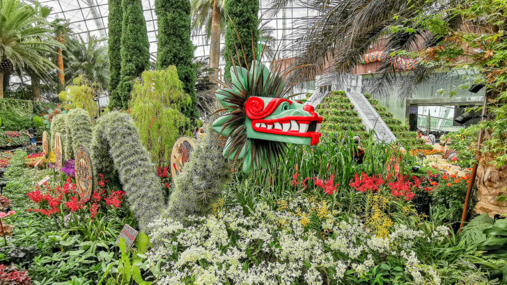 Hanging Gardens – Mexican Roots at Flower Dome, Gardens by the Bay (2022)