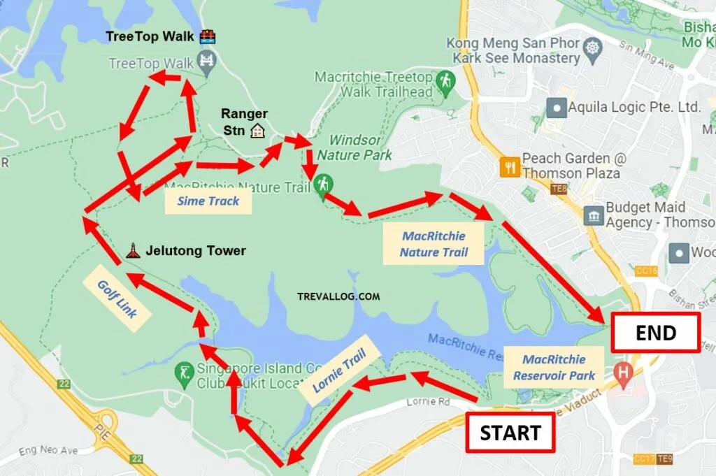 MacRitchie Reservoir Full Loop Route