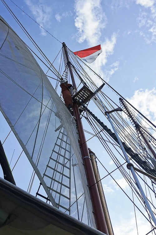 Royal Albatross Review - Tall Ship