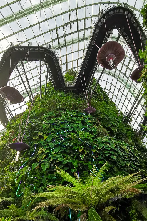 Avatar: The Experience turns Cloud Forest in Gardens by the Bay into a  bioluminescent world from Oct 28