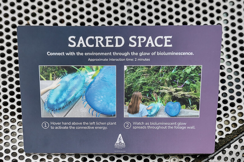 Avatar The Experience - Sacred Space