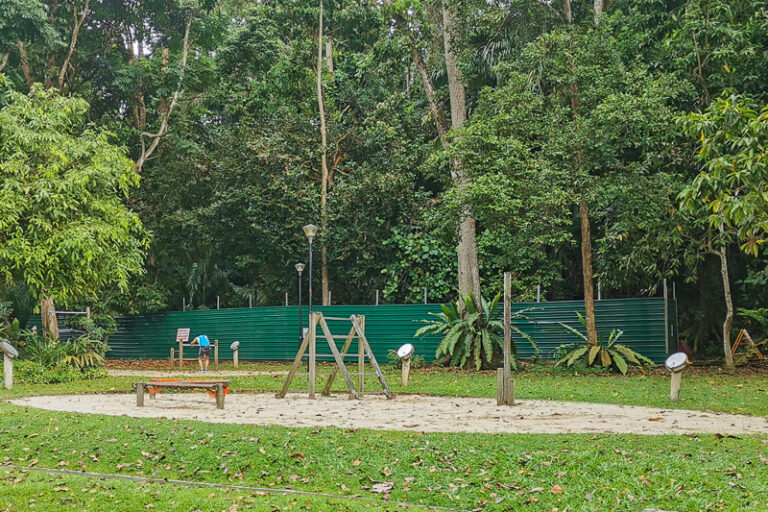 Guide To Visiting Bukit Batok Nature Park