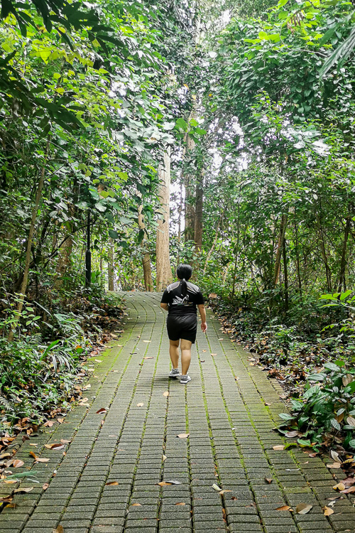 Bukit Batok Nature Park - Trail