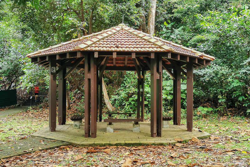 Bukit Batok Nature Park - Trail - Hut