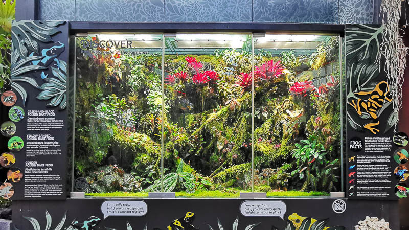 Floral Fantasy at Gardens by the Bay Review - Waltz (3) Vivarium