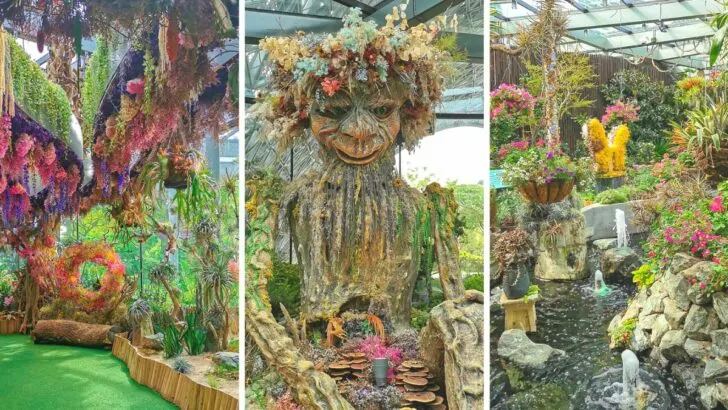 Floral Fantasy at Gardens by the Bay Review