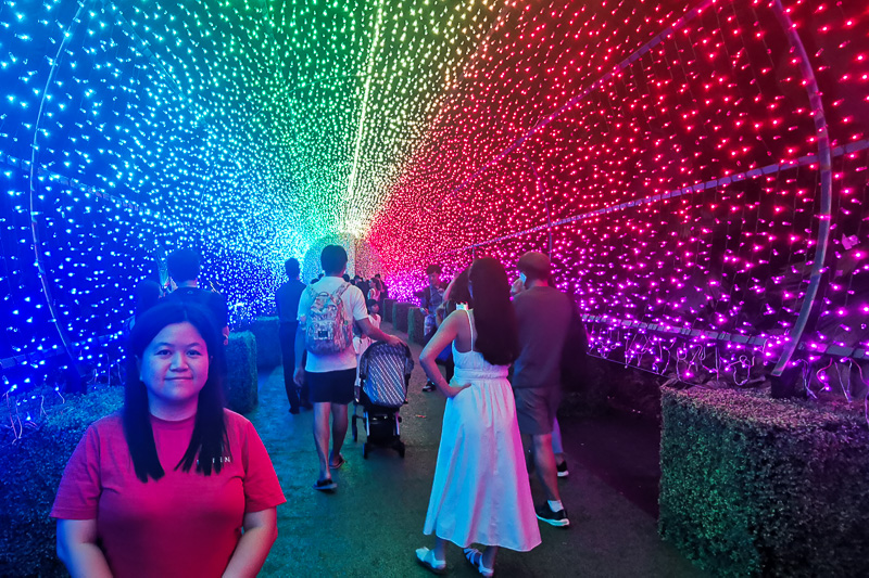 Singapore Christmas Wwonderland 2022 at Gardens by the Bay - Gingerbread Grove - Walk of Lights