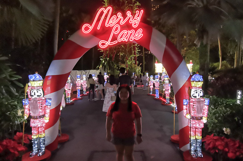 Singapore Christmas Wwonderland 2022 at Gardens by the Bay - Merry Lane - Gate