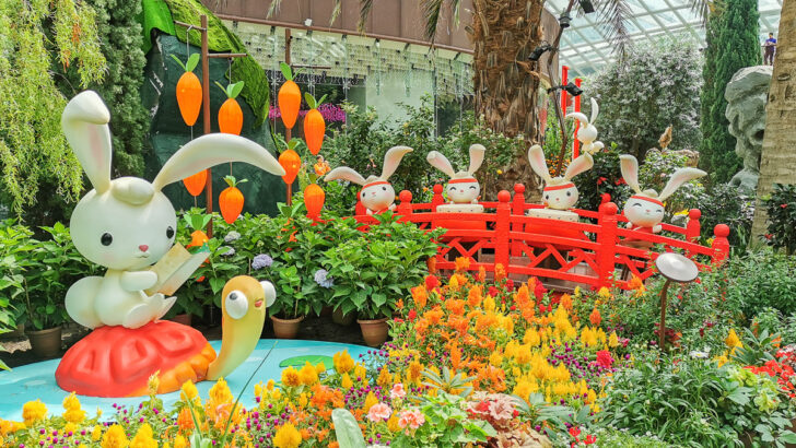 CNY 2023: Dahlia Dreams at Flower Dome, Gardens by the Bay