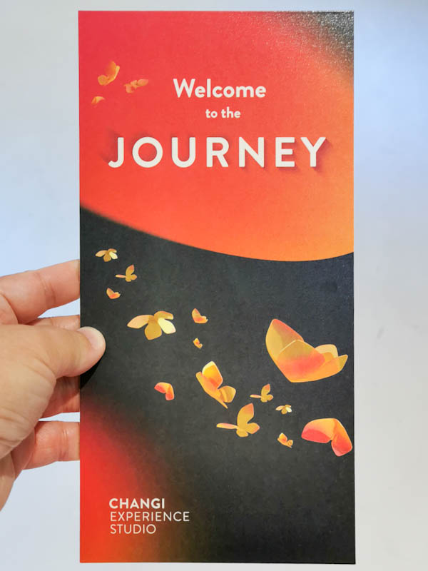 Changi Experience Studio Review - Travel Guide