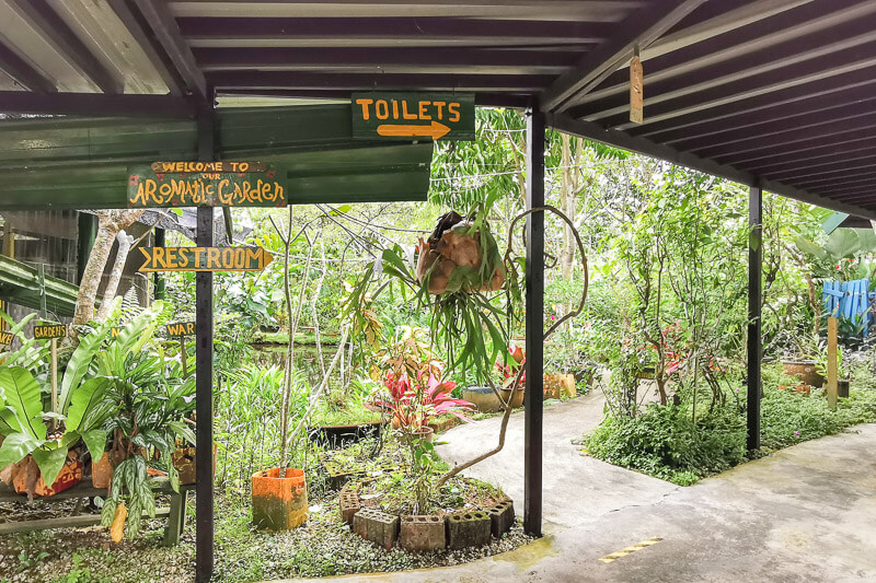 Bollywood Farms Kranji Singapore - Aromatic Garden