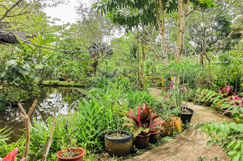 Bollywood Farms Kranji Singapore - Aromatic Garden