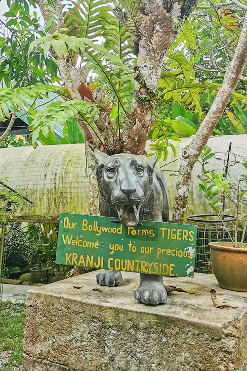 Bollywood Farms Kranji Singapore - Tiger Statue near Aromatic Garden