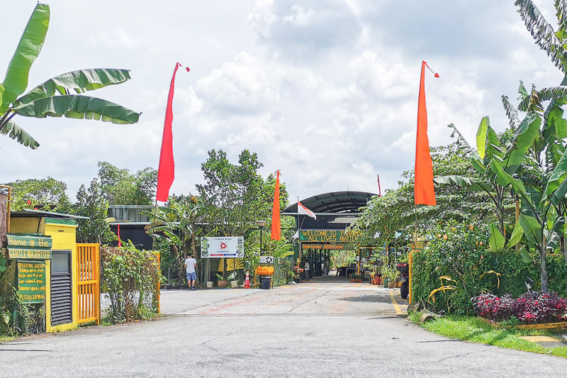 Bollywood Farms Kranji Singapore - Entrance 