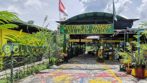 Bollywood Farms - Unique Veggie Farm at Kranji Countryside (Free Admission)