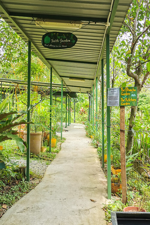 Bollywood Farms Kranji Singapore - Faith Garden