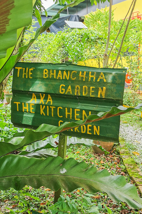 Bollywood Farms Kranji Singapore - Faith Garden