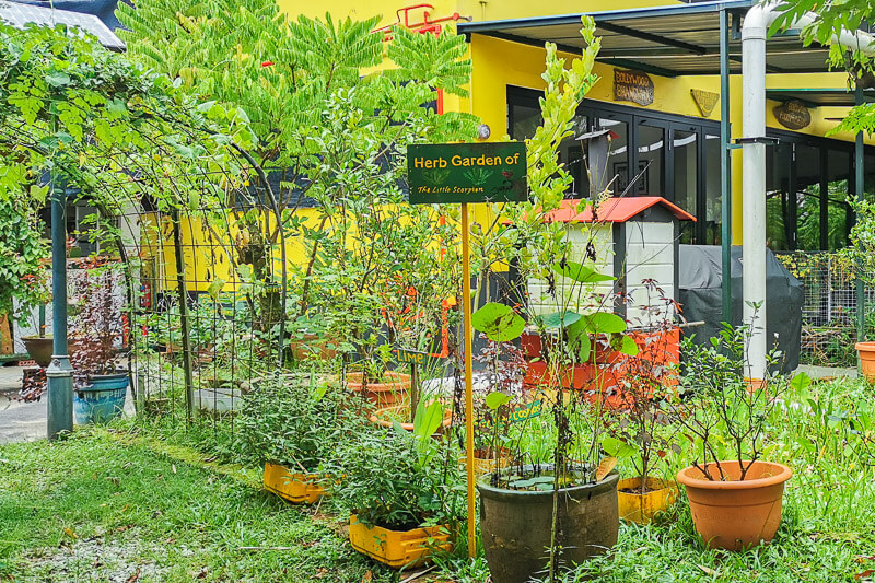 Bollywood Farms Kranji Singapore -  Herb Garden