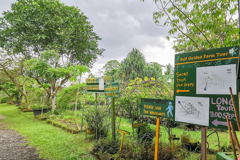 Bollywood Farms Kranji Singapore - Walking Tour