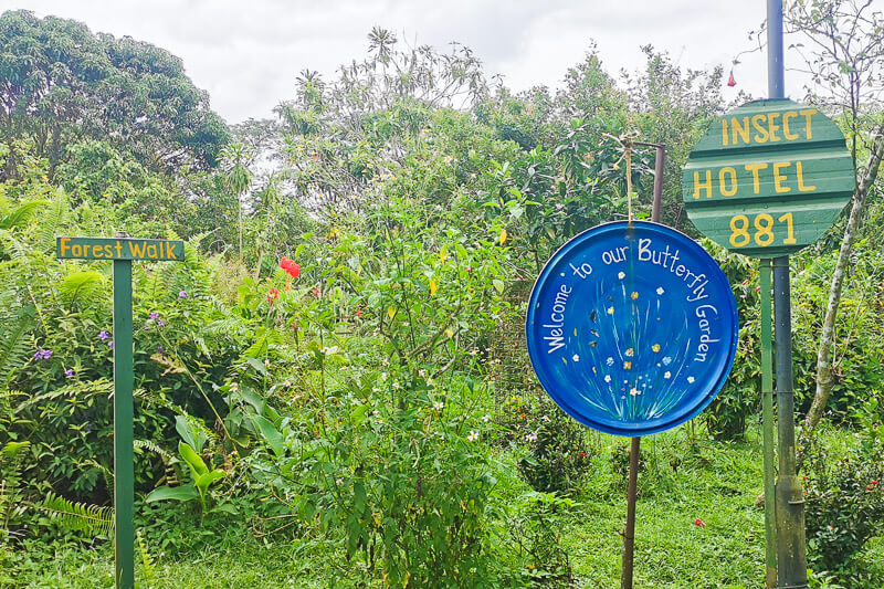 Bollywood Farms Kranji Singapore - Walking Tour - Butterfly Garden