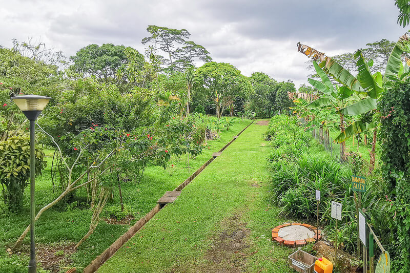 Bollywood Farms Kranji Singapore - Walking Tour - View from Lookout Point