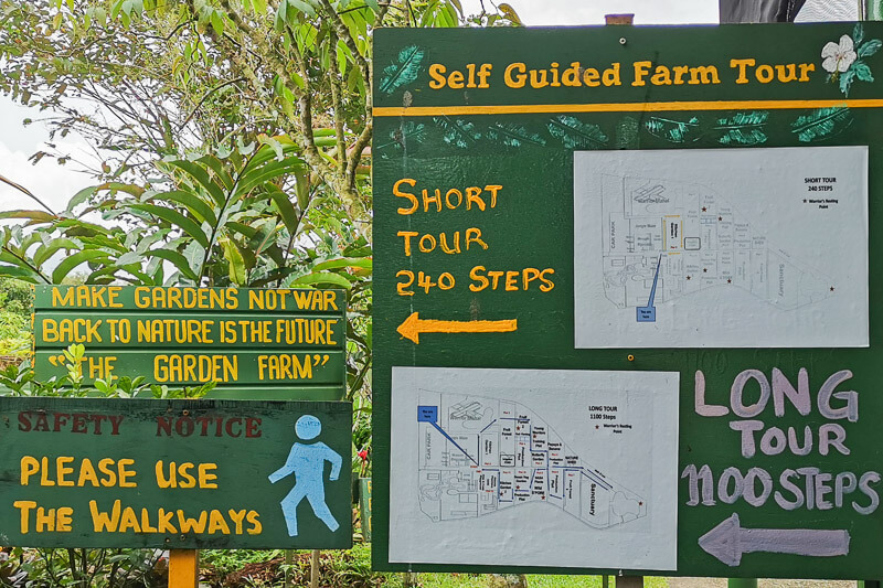 Bollywood Farms Kranji Singapore - Walking Tour