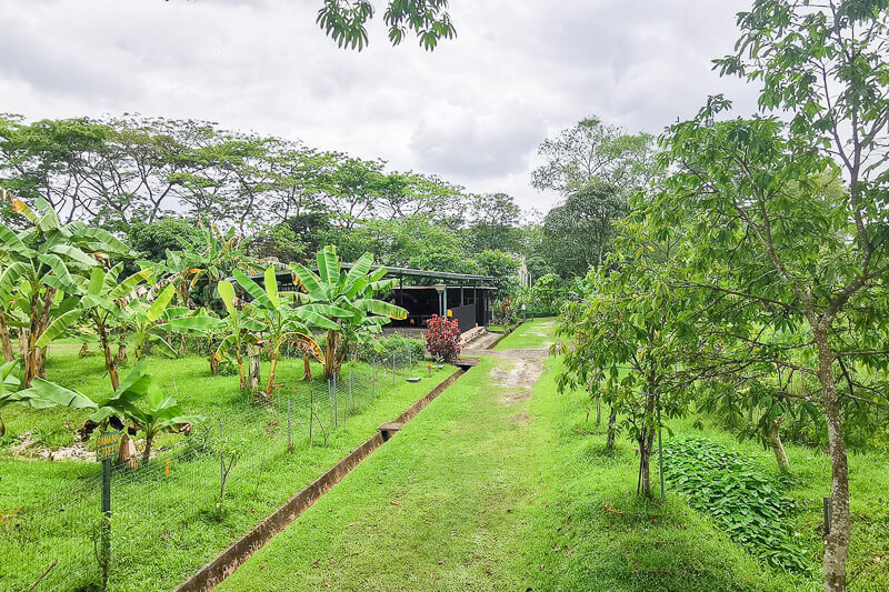 Bollywood Farms Kranji Singapore - Walking Tour - View from Lookout Point