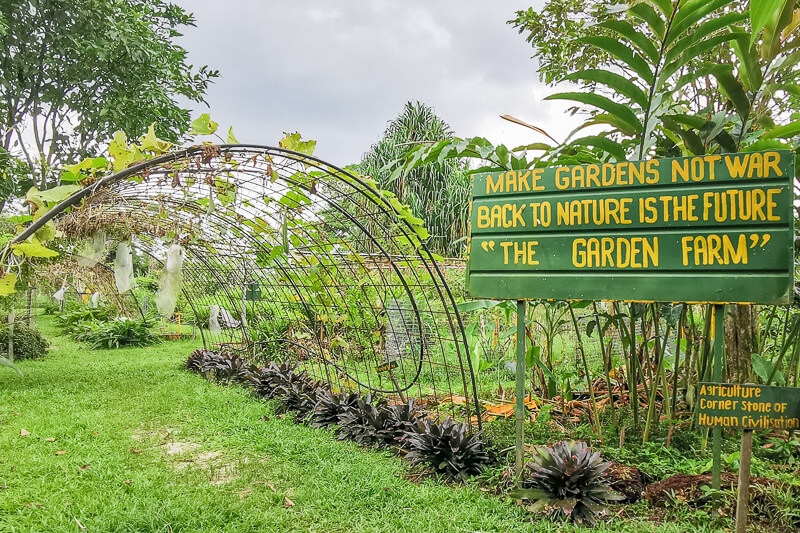 Bollywood Farms Kranji Singapore - Self Guided Walking Tour