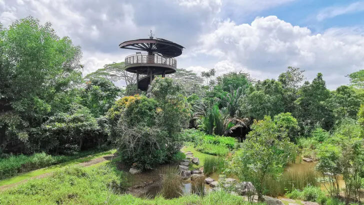 Kranji Marshes Singapore