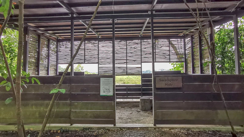 Kranji Marshes Singapore - Bird watching