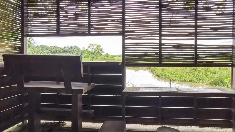 Kranji Marshes Singapore - Bird watching