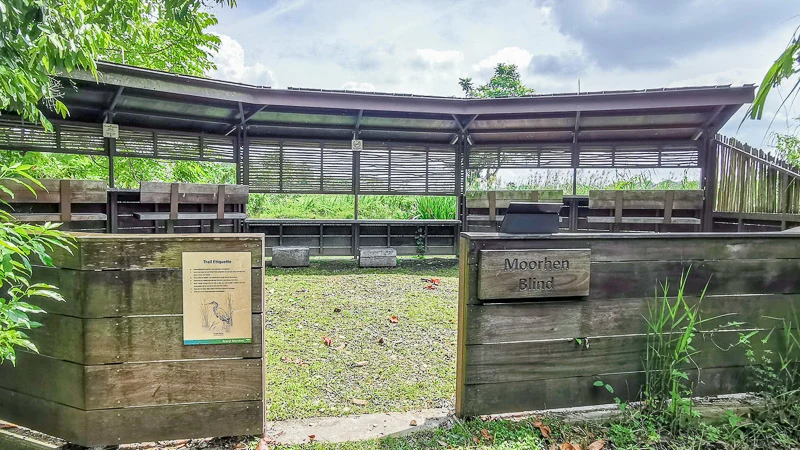 Kranji Marshes Singapore - Bird watching