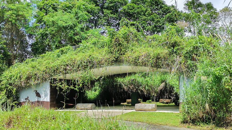 Kranji Marshes Singapore - Kingfisher Burrow