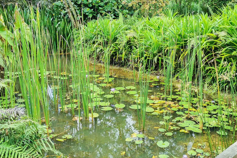 Kranji Marshes Singapore - Kranji Gate (6)