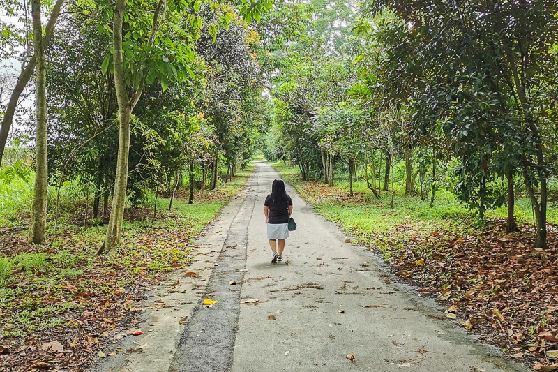 Kranji Marshes Singapore - Neo Tiew Lane 2